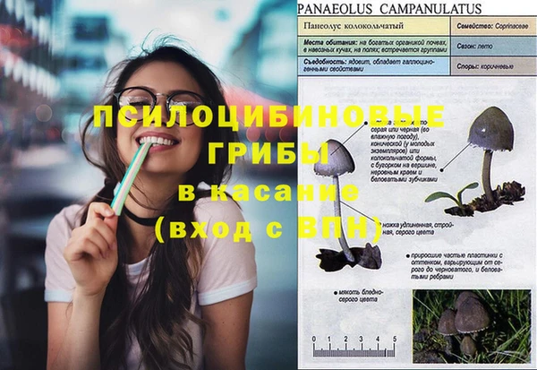 прущие крисы Баксан