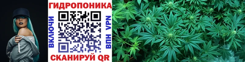 Канабис конопля  Новоржев 